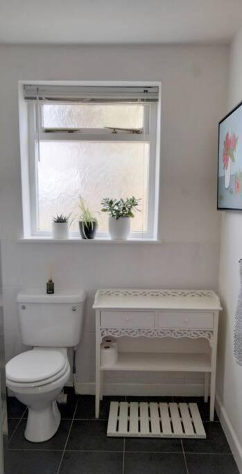 Apartament The Flower House, Idyllic Cornish Retreat. Saint Erth Zewnętrze zdjęcie